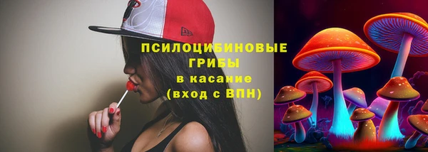 трава Дмитровск
