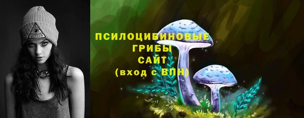 первитин Дмитриев