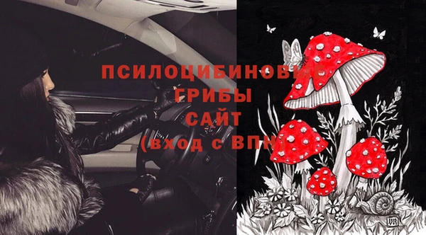 трава Дмитровск
