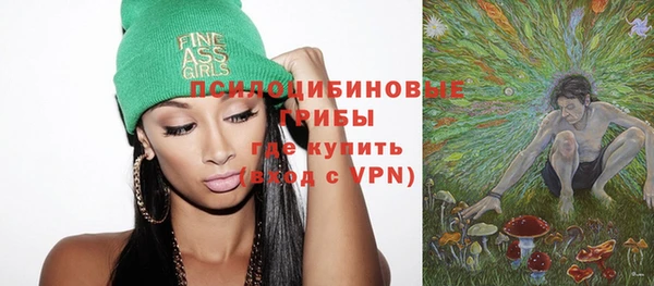 первитин Дмитриев