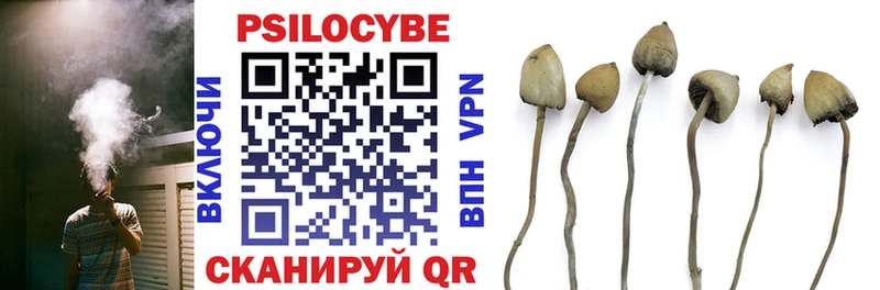 Купить где  Макарьев  Галлюциногенные грибы GOLDEN TEACHER 