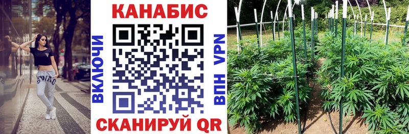 Купить  Макарьев  Шишки марихуана сатива 